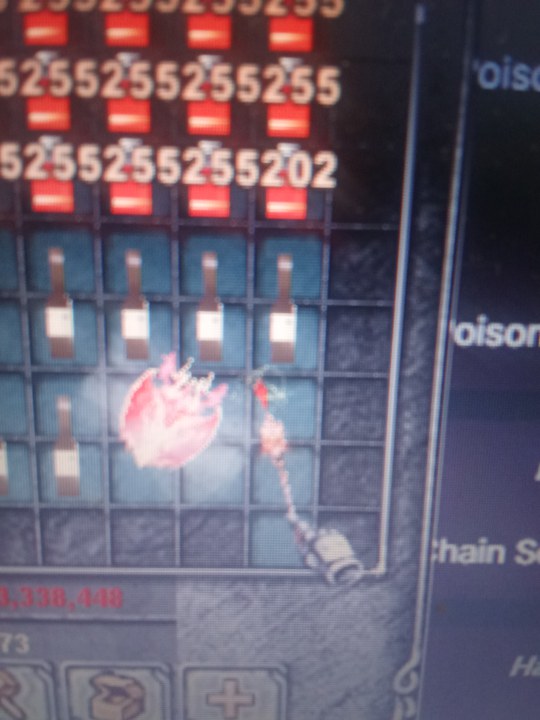 1000098122.jpg